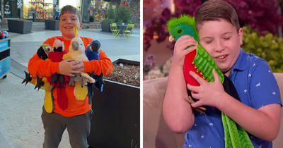 Middle School Boy Breaks The Internet With His Insanely Accurate Routine Of Bird Impressions