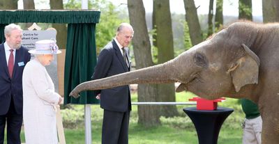 Why Queen Elizabeth and Prince Philip’s elephant-feeding moment still charms people
