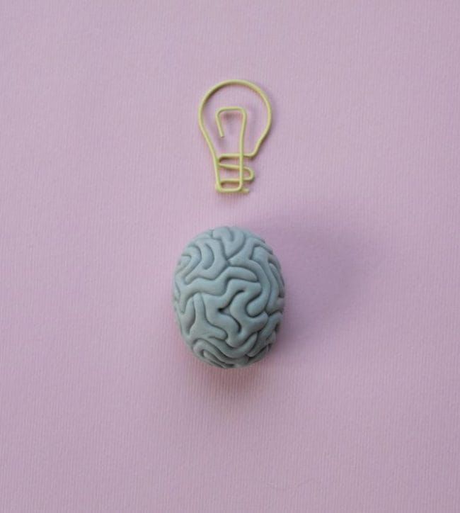 Brain Health Is Wealth: Experts Say Preserving White…