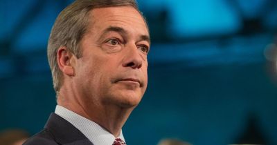 Top security expert hits out at Nigel Farage's 'unsubstantiated' phone hack claim