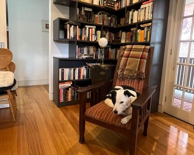In rusted collars and empty chairs, I still live with my beloved ghosts