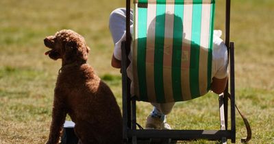 Cold water shock warning issued on Scotland's hottest day of the year so far