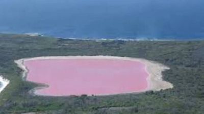 10 pink lakes around the world: From Lake Hillier to Pink Lake