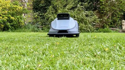 The TerraMow V1000 robot lawn mower is the perfect wire-free lawnbot for newbies and technophobes