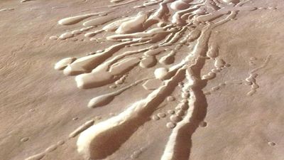 Scientists want to send a roly-poly robot filled with 'dandelion drones' to investigate hidden tunnels on Mars