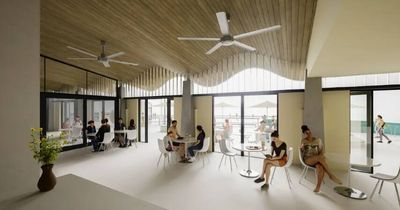 Huge upkeep costs spark push for Newcastle Ocean Baths cafe