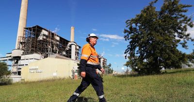 'We knew this day was coming': iconic Liddell power station stacks to fall