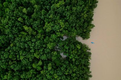 Brazilian government commits $617.5M to Amazon ecological investment