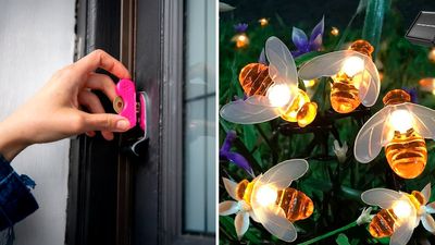 Weird Stuff Under $20 That's Getting Super Popular Now
