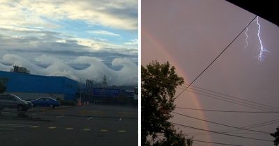 77 People Share Photos They Took Of Rare Moments That May Never Happen Again