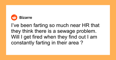 61 Hilariously Dumb Things People Said Online That Are Painful But Funny To Read