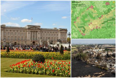 London heatwave: Wildfire threat to Buckingham Palace as climate change 'turns Royal Parks into tinderboxes'