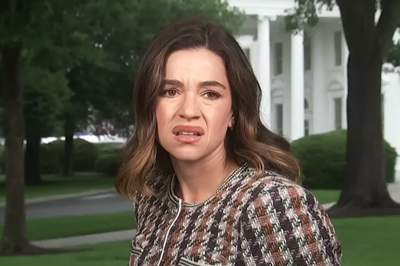 'What Is That?': NBC Reporter Julie Tsirkin's 'Confused' Reaction During White House Shooting Turned Into a Meme