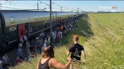 Paris' brutal heatwave turns non-AC trains into ovens, hundreds gasp for breath and forced to step out. Watch video