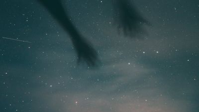 Internet Thinks the UFO Files Are 'Distractions' And '4 Alien Species' Theory Isn't Helping
