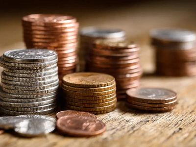 Nomura Asset, Capital Group, others buy 5.3% stake in Premier Energies for Rs 2,291 cr
