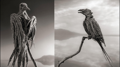 The dead lake: This Tanzanian lake can turn dead animals into stone-like statues