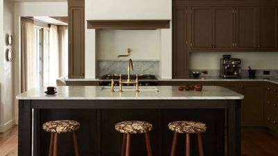 The Surprising Reason Your Induction Pan Buzzes – Plus the Simple Fix Most People Miss