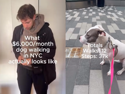 Forget layoffs and coding stress: This techie earns nearly Rs 6 lakh a month and hits 35,000 steps daily by just walking dogs