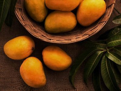 Which city is called as the Mango capital of the world?