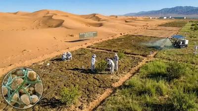 China is using a bacteria to turn desert into fertile soil in just 10 months