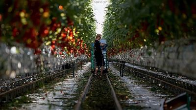 Sixteen EU countries ask for more funds for agriculture and fisheries in next long-term budget