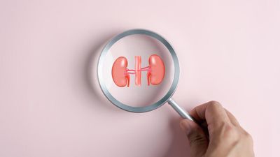 La santé des reins : 9% de la population mondiale vit avec une maladie rénale chronique