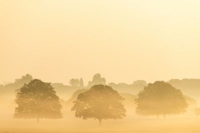 Records under threat from spring heatwave in western Europe