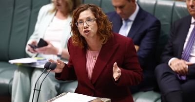 'Too hard basket': Albanese govt to overhaul $2b-a-year employment services outsourcing