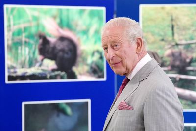 King praised for his understanding of ‘harmony with nature’ at squirrel project