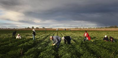 From the San Luis Valley to Vail, Latino labor powers every sector of Colorado’s economy