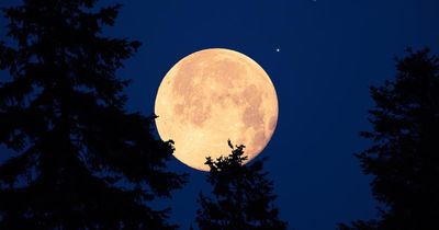 Rare Blue Moon to be visible over the UK this week – when and how to see it