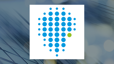 Ituran Location and Control Q1 Earnings Call Highlights