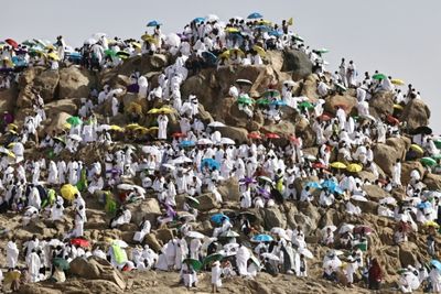 Pilgrims pray on Mount Arafat as hajj reaches peak