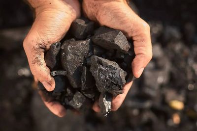 Govt to offload up to 2% stake in Coal India via OFS on May 27-29; floor price at Rs 412/share