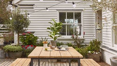 "Too Bright, Too Cold, Too Flat" — Paint Experts Share 5 Garden Painting Mistakes They See Far Too Often