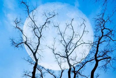 Rare Blue Moon 2026 set to shake every zodiac sign: Here’s what the powerful lunar event means for you