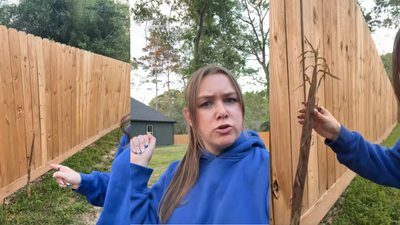 Houston Woman Has the Internet Fearing for The Thing Growing Out of Her Yard: ‘You’ve Got 20 Minutes’