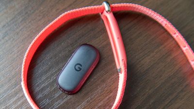 Missing Fitbit Air update is causing headaches, Google says it'll pick up the pace