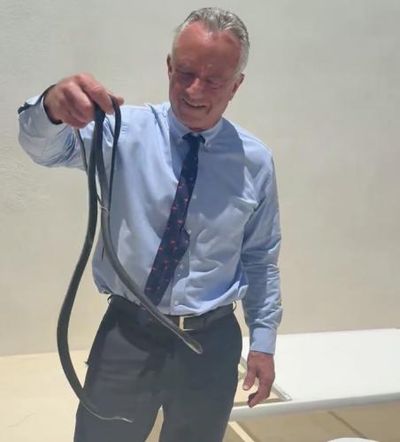 Another day in Florida: RFK Jr posts video of him wrestling two snakes
