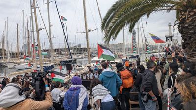 Freed Gaza Flotilla Activists Speak Out About Israeli Detention Horrors Including SA and Brutal Beatings, Sparking Outrage
