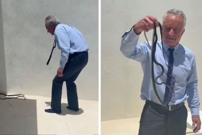 RFK Jr bitten by snakes after grabbing writhing reptiles with bare hands