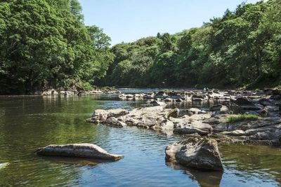 Body recovered from River Ribble after search for missing 12-year-old boy