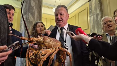 Wokes, women and one w**ker … the votes Shane Jones doesn’t seem to want