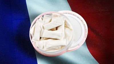 France Is Banning Zyn and Threatening To Jail People for 5 Years