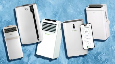 9 portable air conditioners that are still in stock after this weekend's sweat-fest — plus our top tips on how to choose and use one