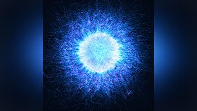 Microscopy contest-winning photo reveals “intriguing parallels” between biology and the cosmos