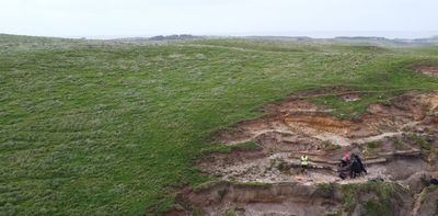 A ‘supereruption’ transformed NZ 350,000 years ago. We now know how it happened