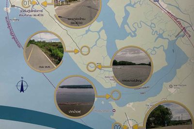 Mangrove, oyster concerns shadow coastal road plan