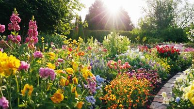 I tried the '70/30 rule' to bring my yard back to life this summer — and it's taken away a lot of stress